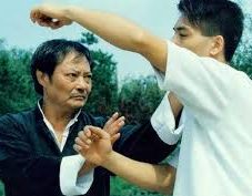Freie Hände Freikampf Sparring Wong Shun Leung GOR SAO